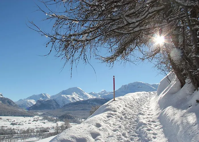Quadratscha Alpenhotel Отель Самедан